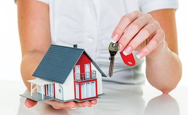 luat-su-tu-van-dat-dai-tai-tphcm