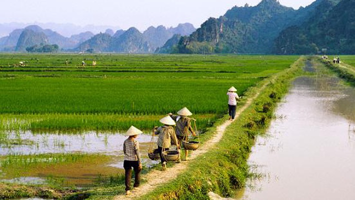 Dieu-kien-tang-cho-dat-nong-nghiep-tai-Binh-Chanh