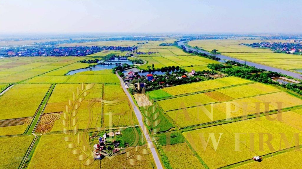 thua-ke-dat-dai-khong-co-di-chuc-o-binh-chanh