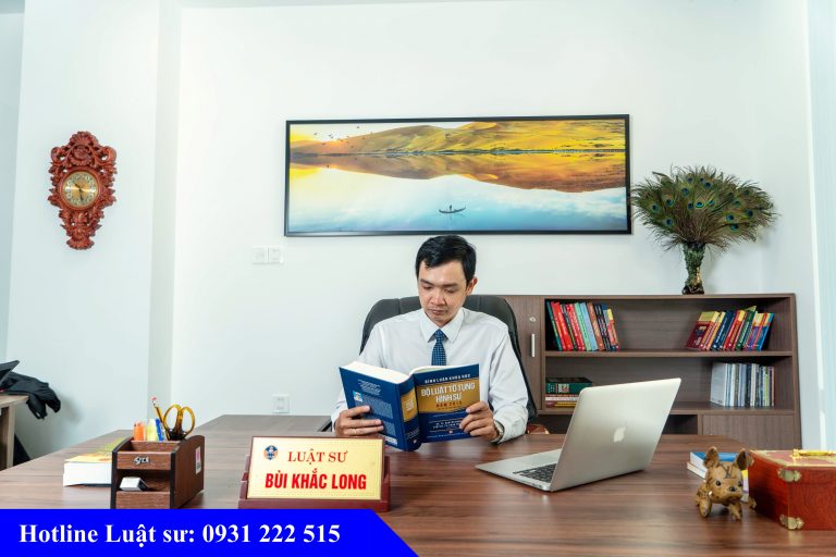 luat-su-gioi-hinh-su-tai-tp-ho-chi-minh